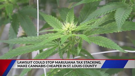 Lawsuit could stop marijuana tax stacking, making cannabis cheaper in St. Louis County